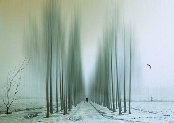 摄影师:Josh Adamski,出生在...