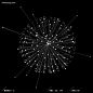 Colorpong.com - Dataism - vector bundle : Colorpong.com – Dataism is a stock vector graphic bundle featuring data flow and grid explorations.