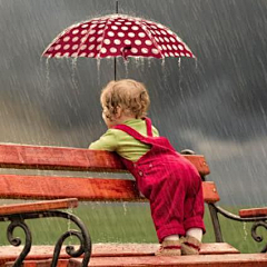 akong采集到在雨中