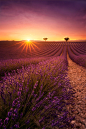 Photograph One day in Provence by Julien Delaval on 500px