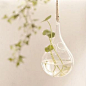 水晶透明玻璃花器可悬挂 创意鸭梨状DIY花瓶吊球 插花器皿 特价-淘宝网