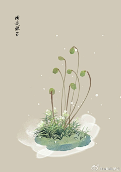 一颗迷失的心采集到Draw植物花草绘画