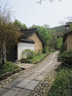 黑戈-宋建倩采集到专题—地面