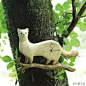 手工木玩之动物钟系列，来自日本KIYATA 工作室。