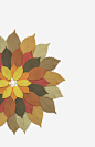 叶子花朵_新图网 https://ixintu.com 组合花卉 叶子 重叠 树纹