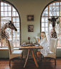 Tag who you'd take a breakfast with! ~ Nairobi, Kenya. Photo by @gypsea_lust