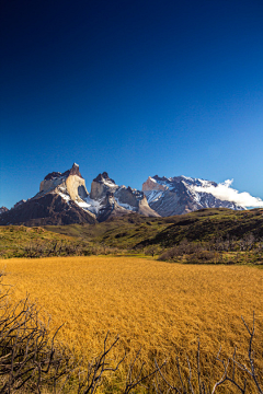 Chair飞蛾采集到景