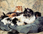 19世纪荷兰画家Henriette Ronner-Knip是个超级猫奴，她绘画许多优秀的以猫为主题的画作。