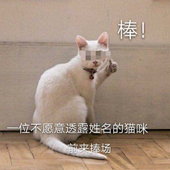 慥物弄人采集到表情包 搞笑   gif