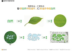 一路看齐1采集到景观—主题概念