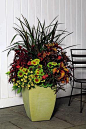 Plant Container tips: A general design rule is to mix elements, such as vertical and cascading.: 