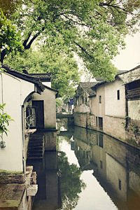 叶踏小雨采集到人在旅途，旅途中国，美在江南