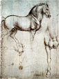 列奥纳多·达·芬奇（Leonardo Di Ser Piero Da Vinci）油画作品(20)