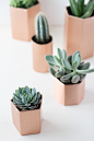 DIY Metallic Geometric Planters: 