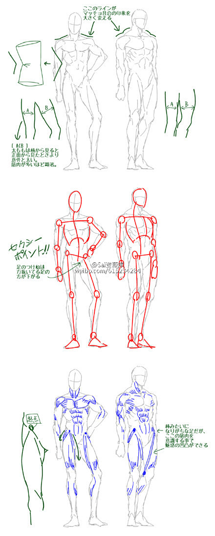 #SAI资源库#动漫人你男性不同身材的体...