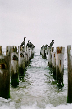 ZHAODAPAO采集到Heaven，Blue，Water