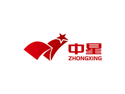中星网络 标志设计