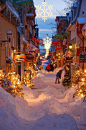  雪的街道，魁北克市，加拿大