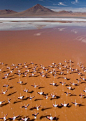 ✯ Atacama Desert - Chile