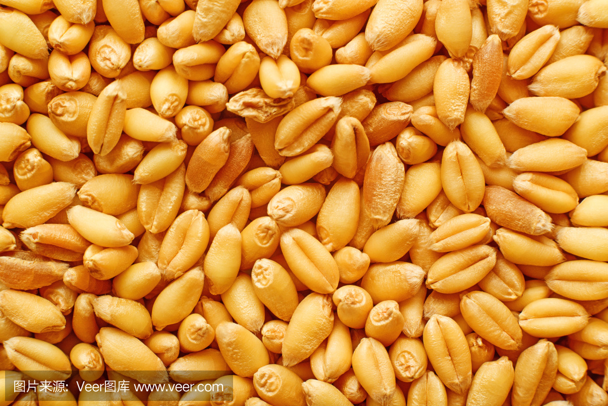 fc30f806213c258f511f45066614cb493acc95498a020-ahyHXU