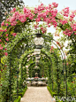 Allee of Roses Gatden Outdoor Dining Area - Caroline Scheufele Garden - Veranda Magazine: 