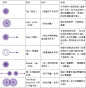 MeeGo手势和触摸操作的简单介绍