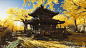 Golden Lake Temple, Jordan Vanderpool : Golden Lake Temple is one of the first locations the player is likely to discover when first released into the open world. The temple acts as both a Buddhist temple for Izuhara and eventually a refugee camp for thos