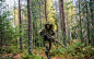 rifle, forest, sniper