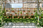 基普湾屋顶花园设计 / Edmund Hollander Landscape Architects – mooool木藕设计网
