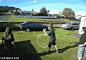 2679465a34570a048d660ff769174884.gif (258×180)