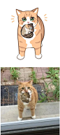 插画师 GENTLECAT 在社交网络上的作品通常是将动物照片“漫画化”40
