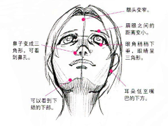 嘿Promise采集到透视