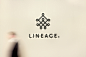 Lineage - Corporate Identity / Branding : Lineage Law is a company that primarily deals with the things people don’t like to talk about: inheritance law and what happens when life comes to an end. In practice, this means focusing on leaving a legacy. A ti