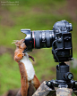 Self Portrait by Simon Phillpotts