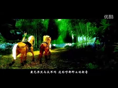 似_花非花采集到歌曲视频