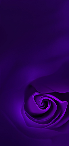 西谜✨采集到紫调