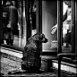 Denis Buchel，保加利亚摄影师，这组名為《Dog’s Life》（狗的生活）的摄影作品