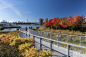 Hunter's Point South Waterfront Park : The park’s recently completed second phase offers New Yorkers an "urban wilderness;" pathways snake along the site’s contours and in between newly re-introduced wetlands and the water’s edge. Plantings enge