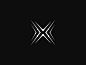 Letter X Logo Mark