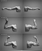 adrian-spitsa-arm-studies.jpg (1200×1460)