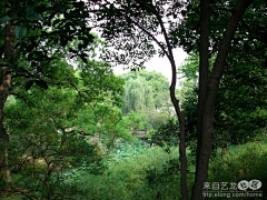 Zhangchanggong采集到拙政园-journey in suzhou--day