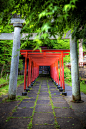 Torri Gates at a Hida-Takayama Shinto Shrine. Gifu, Japan.