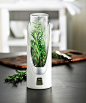 Fresh Herb Saver // keep herbs and asparagus fresh for up to two weeks in the fridge #productdesign