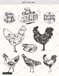 手绘母鸡矢量插图Design elements for a chicken menu 设计模板 