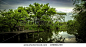 西溪湿地xixi wetland - stock photo