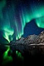 Aurora Borealis,Tromsø // its my dream to see this, I don't think there is anything more beauitful than these.