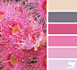 Design Seeds : Design Seeds color palettes ... posted daily for all who love color.