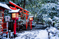 Nonomiya shrine, torii gate, kyoto, japan, храм нономия, тории, киото