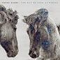 The Way We Look at Horses by Trent Dabbs
http://www.xiami.com/album/1683292615?spm=a1z1s.7154410.1996860293.6.aCiV4g