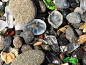 俄罗斯Ussuri乌苏里湾的玻璃海滩，曾经是旧苏联倾倒处理废弃啤酒瓶和瓷器的地方。但随着时间的推移，大自然已经把这些玻璃碎片变成了千变万化的如软糖般的“鹅卵石”。 ​​​​看着好甜呢~ ​​​​